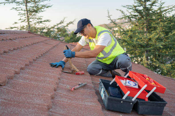 Best Roof Leak Repair  in Park City, MT