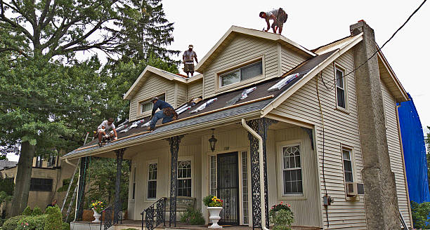 Best Metal Roofing Contractor  in Park City, MT
