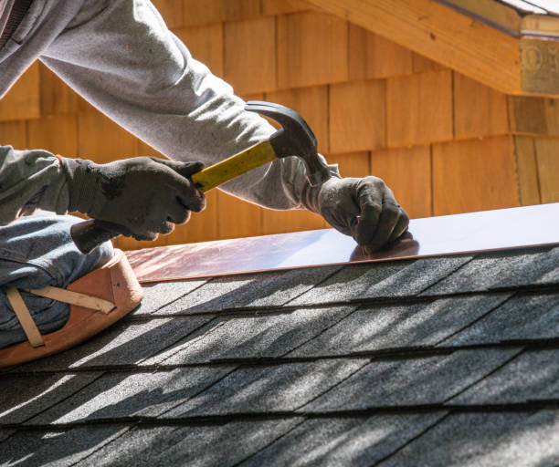 Best Metal Roofing Contractor  in Park City, MT